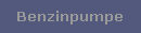 Benzinpumpe