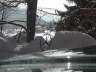 DSCN0730
